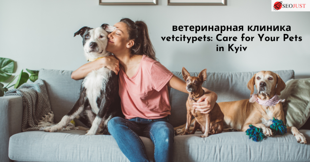 ветеринарная клиника vetcitypets